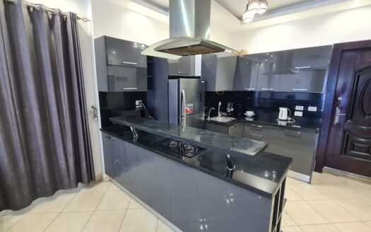 Fully Furnished Apartment in Diamond Resort